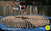 外国人少!小伙作死跳到铺满1000只老鼠夹蹦床上,看着都疼!