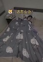 狗在半夜都会给女生盖被子，而(1)