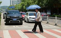 取消“礼让行人”呼声越来越高，专家建议获车主支持：早该这样！