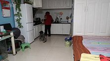 东北大姨和狗子共处一室，狗子真幸福