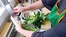 家常菜 萝卜叶 张峥峥一个人全包了 说好吃