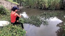 钓鱼：农家小妹今天用小贝壳在水草边野钓，上鱼一竿接一竿
