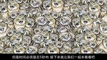 你能5秒钟找到小猫在哪吗？很多人都没有找到，一眼看出的是高手