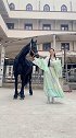 来，上才艺燕无歇古风舞 汉服 马
