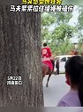 河南周口：新郎骑马迎亲马突然受惊狂奔，马夫紧紧拉住缰绳被磕伤