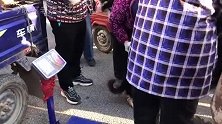 狗贩子现场宰狗，猛犬吓到毛骨悚然！