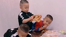 三胞胎儿子太能吃了，爸爸三个吞金神兽养不起了怎么办