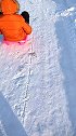 东北雪爬犁玩过的点个赞老铁