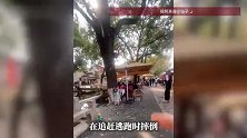 游客在江苏同里古镇景区公共区域拍照，遭商家驱赶抢夺手机致摔伤
