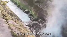 爆笑：大哥我感觉你这样下去，迟早要英年早逝