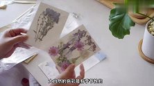 留住四季的色彩  治愈系植物手作  一起来DIY家居装饰画吧