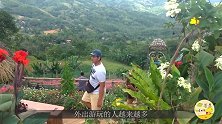菲律宾的旅游胜地，被称为“南方皇后市”，因造型独特的佛手走红