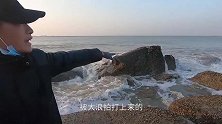 小川赶海撞好运，抓到值钱的“土怪鱼”，可以抵上半桶海鲜