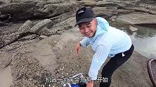 泰泰盘干底潮杂石坑，凶猛海货互相撕咬，扎到会叫“妈妈”的毒货