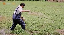 信去田里抓泥鳅，刚下地就被束缚，女儿在岸边无情吐槽