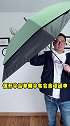 能抗7级强风的“暴风伞”你见过吗？
