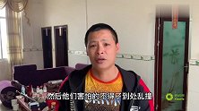 小何想给灰燕它们做窝，发现它们怕生东西，一放进去它们就撞笼子