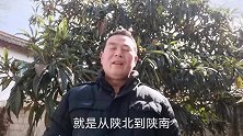 陕北养蜂大叔的小狗生病了，西部民工去送药，结果没料到！