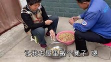 准丈人不听劝偏要去打工，逼丈母娘使出杀手锏，最终乖乖在家