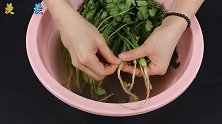 奶奶把香菜挂衣架上，真是太棒了，几天后连邻居也模仿，真实用