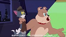 新猫和老鼠：汤姆杰瑞成了私家侦探，假扮成牌友和狗狗们打牌！