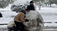 湖南湘潭：近一人高！南方同学雪后兴奋得推了个大雪球