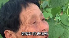 袁婆婆五一还扛水泥——我跟你们不一样，贫穷叫我待在家里