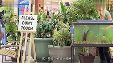 损坏的水族箱一秒被修好老外街头恶搞，路人不敢相信自己的眼睛
