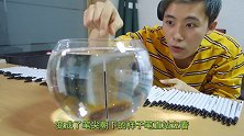 100根笔芯同时扔进水缸，神奇的一幕发生了！什么原理