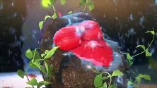 爆笑虫子3：小黄小红睡在花丛中好美啊