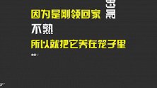 关心不被接受？你肯定是用错了方法！