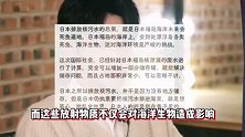 日本排核污水进海，任豪大谈核废水高建被扒，网友：罩子赶紧搬出来