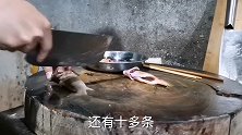 野生的鲤鱼用石锅煎，加几种配料，味道太好了都不够吃