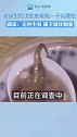 顾客称外卖吃出壁虎 商家：无中生有，属于敲诈勒索