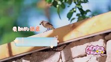 赳赳后空翻太漂亮，王弢一旁看呆，不愧是奥运冠军刘璇的儿子