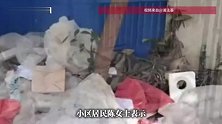 上海一小区堆70个垃圾堆，居民苦不堪言：老鼠天天往家里跑