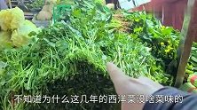 西洋菜这么贵有菜味吗？我用鱼滑做了一锅西洋菜汤测试，来看结果