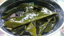 泡海带，一定别只用清水，只需一个简单技巧，轻松泡软干净无沙粒