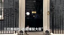 记者在首相官邸喊话“英国第一猫”：你有没有要求约翰逊辞职？