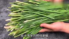 吃不完的韭菜不要直接放冰箱！教你3个小技巧，十天半月照样新鲜
