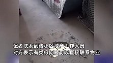 邻居装修毛坯房楼板被砸出大洞，露出薄薄水泥层，开发商：非质量问题