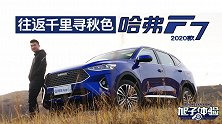 往返千里寻秋色 旭子体验哈弗F7 2020款