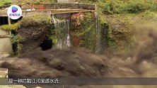 水坝下面发出“怪响”，窜出一庞然大物，众人瞬间傻眼了！