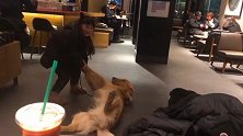 它们将会是你幼年时期最珍贵的回忆
