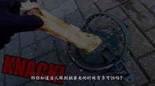 人踩到捕兽夹有多厉害？老外用牛腿骨模拟，看完双腿直哆嗦
