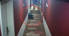 重庆一男子频现酒店不消费 趴地隔门偷听录音