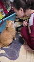猫猫你这是对我明目张胆的打击报复啊！#宠物猫
