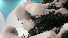 深圳首个拥有动物园和冰雪城的商场来了！室内玩雪还能与动物接触