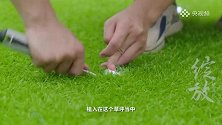 独一无二的数控草坪——杭州亚运会闭幕式揭秘