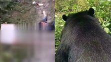 绵阳两村民被野熊袭击 一女子确认死亡